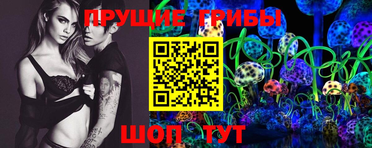 Псилоцибиновые грибы Cubensis Семёнов