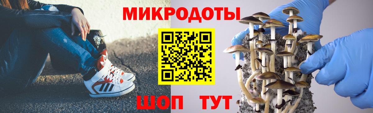 Галлюциногенные грибы Psilocybe  купить наркоту  Семёнов  Вход с VPN 